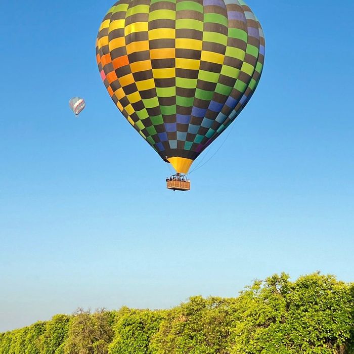 hot air balloon in sky over vineyard hot air balloon in sky over vineyard
