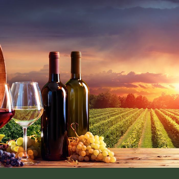 Ultimate Wine Country Gift Ticket!.jpg