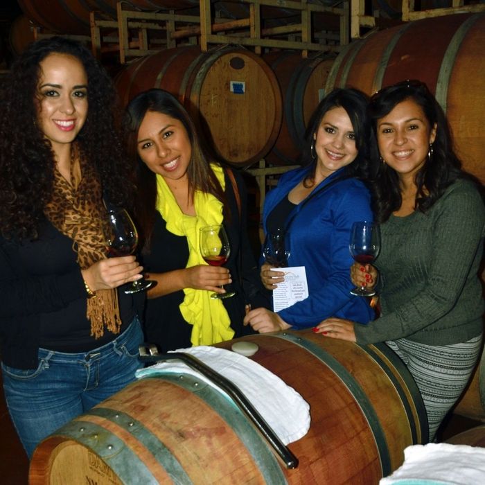 four women on a wine tour