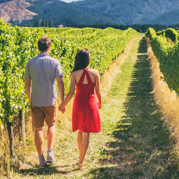couple walking in a vineyard