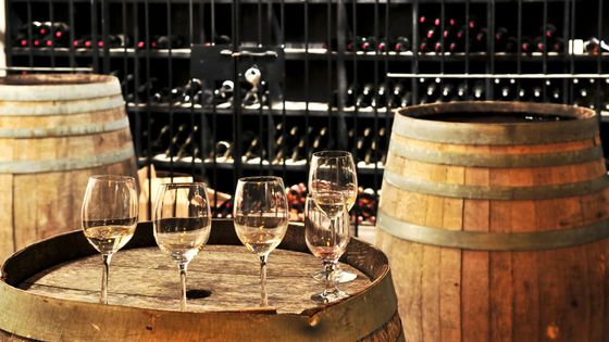 wine glasses in a vineyard
