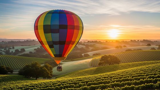 Soaring Above the Vines.jpg