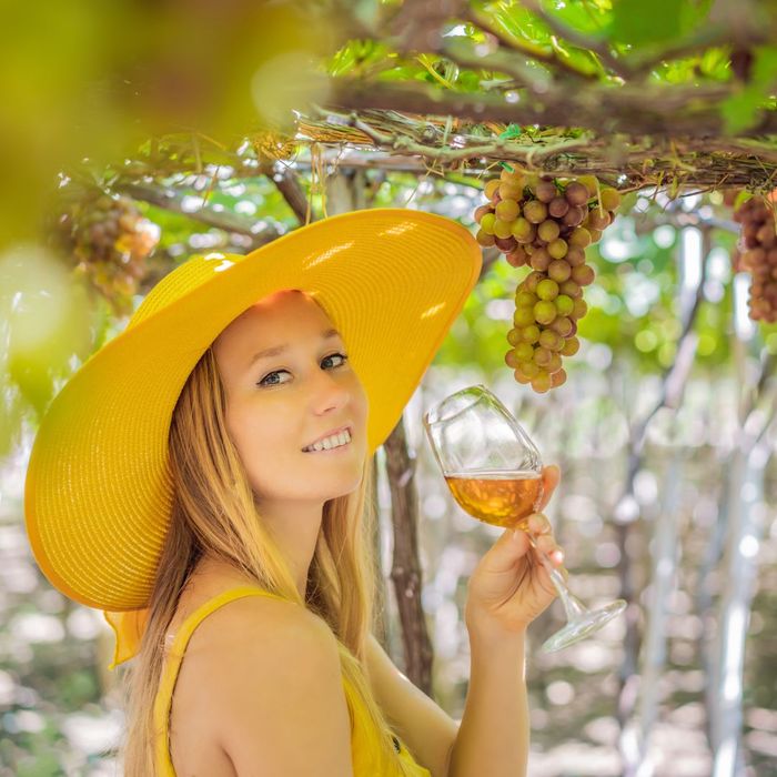 woman enjoying a glass of wine at a vineyard woman enjoying a glass of wine at a vineyard