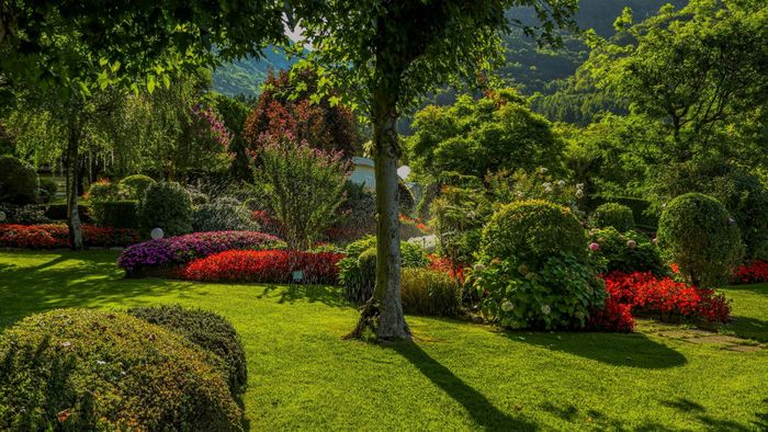 What to Expect During Your Landscape Renovation 1.jpg