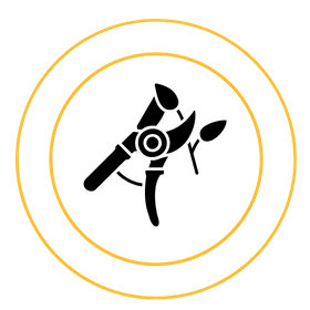 SeasonalCleanup-2.png