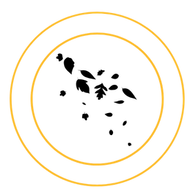 SeasonalCleanup-1.png