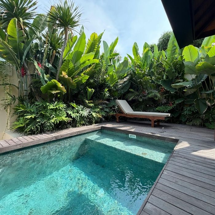 lounge chair in a private garden nook filled with tropical plants