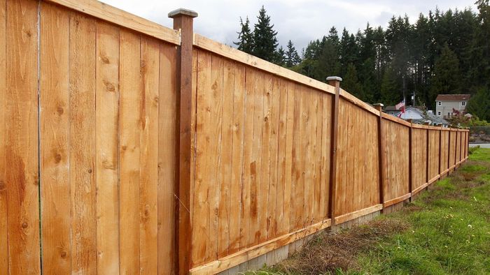 DIY vs. Professional Installation_ Which is Best for Your Custom Fence_ 1.jpg