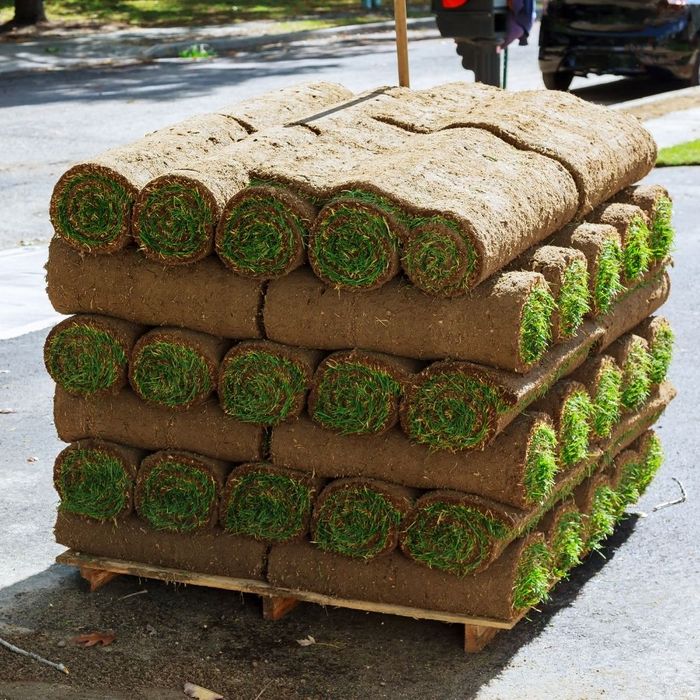 Rolls of grass