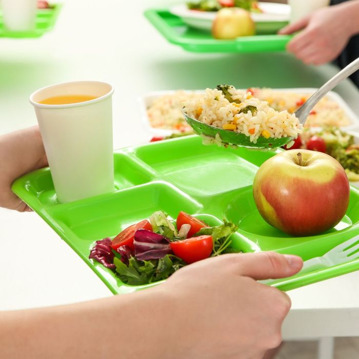 a school lunch of vegetable rice, salad, juice, and an apple