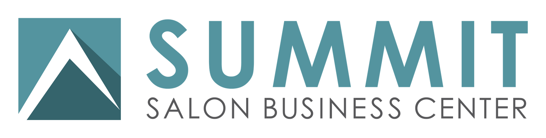 Summit Salon Updated Logo-01-1.png