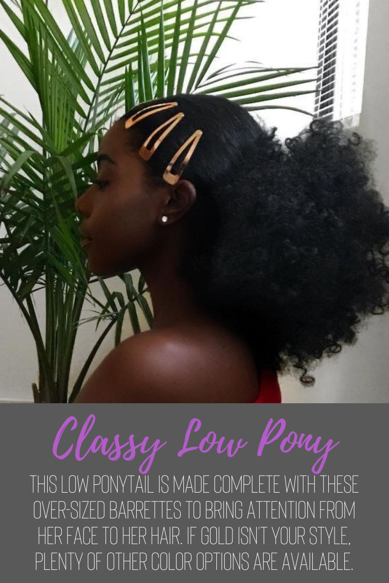 Ethnic Classy Low Pony.png
