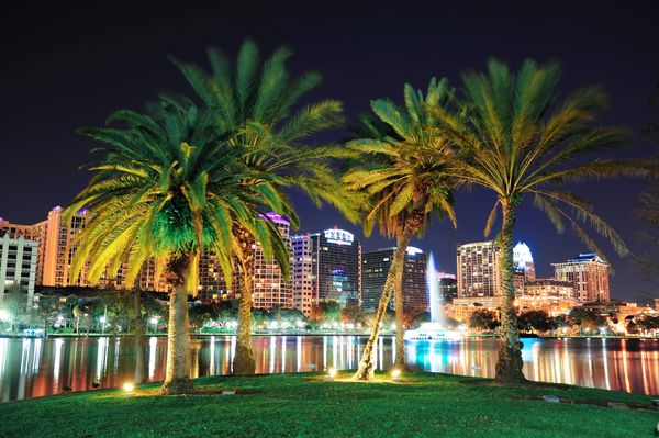 orlando2.jpg