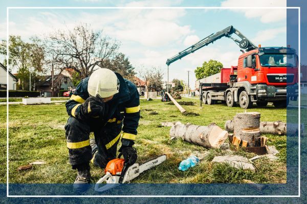 crane truck for moving trees 