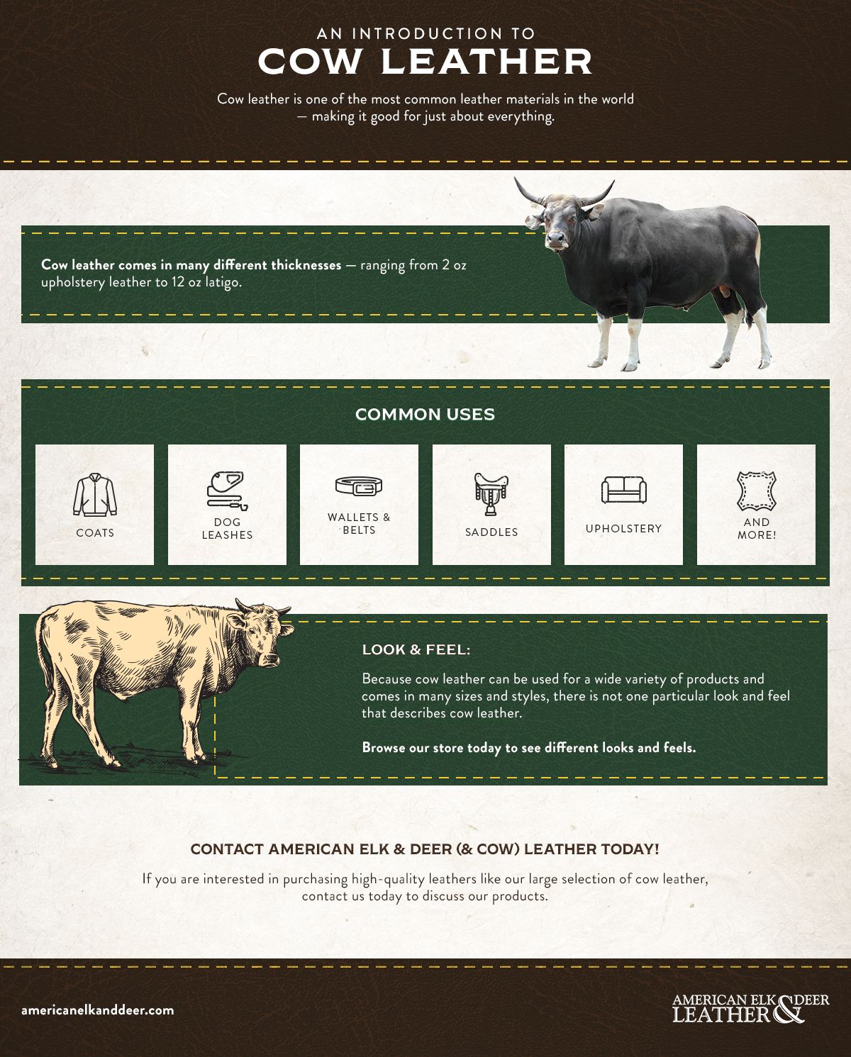 Cow Leather Infographic Cow Leather Infographic