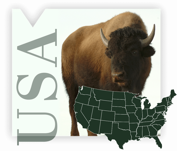 USA Text with Bison Image