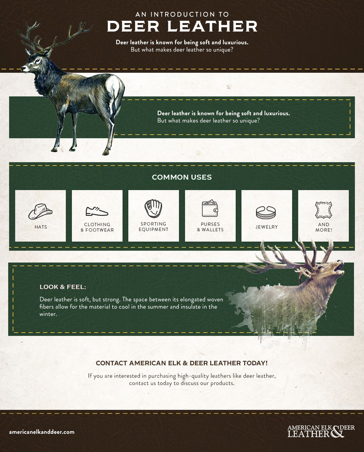 Deer Leather - Infographic.jpg