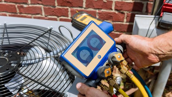 Blog Images 2Artboard 5.jpg