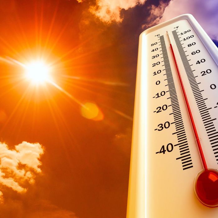 Extreme summer heat. Extreme summer heat.