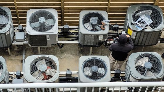 Blog ImagesArtboard 5.jpg