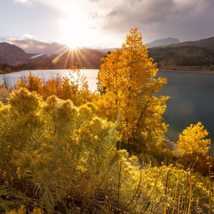 Leaves turning color. Leaves turning color.