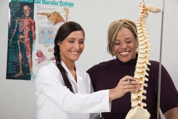 chiropractor pointing at model of spine