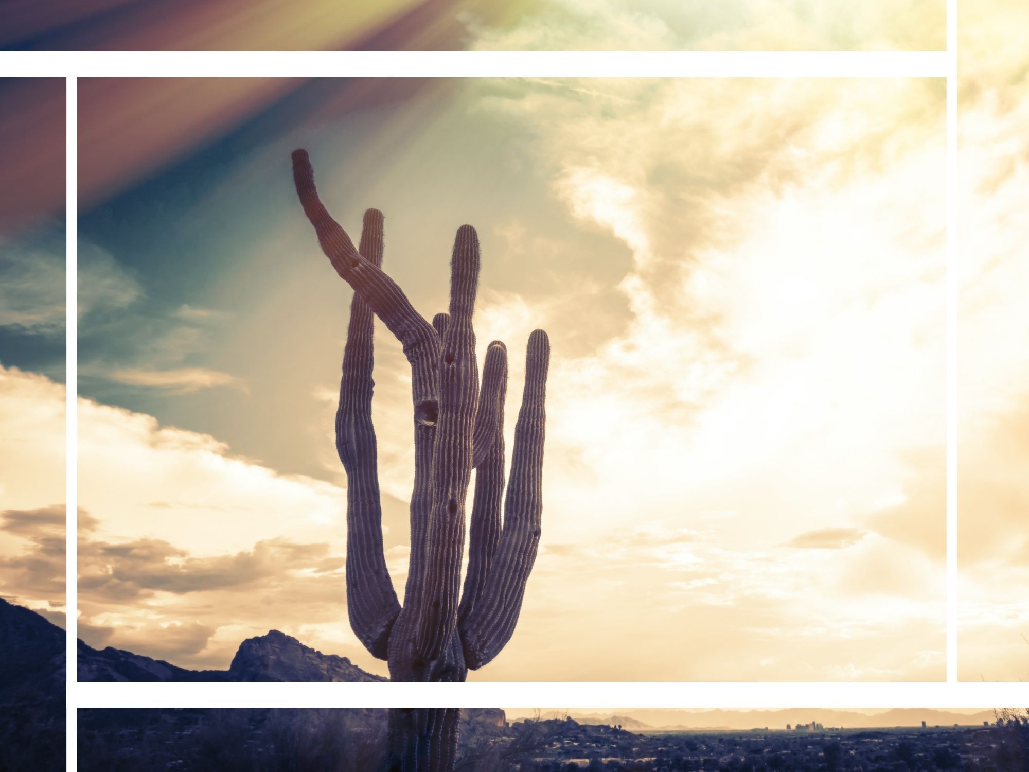 cinematic, warm-toned silhouette of a tall Saguaro cactus in the Arizona desert against a bright, hazy sunset sky with distant mountain peaks.