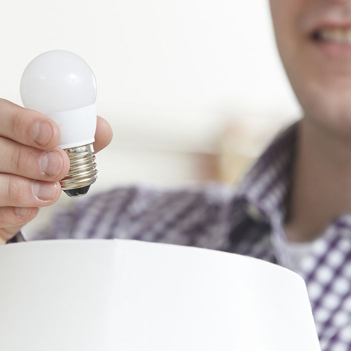 Person holding an LED light bulb