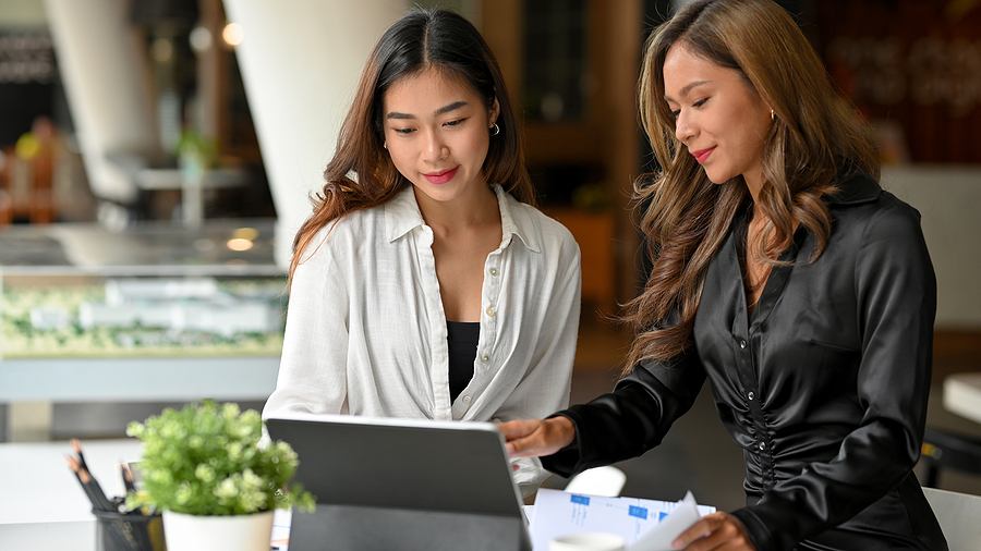 Female Financial Advisor Consulting with Client