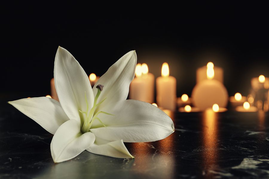 White lily flower with glowing candles in background on black surface, symbolizing remembrance and reflection