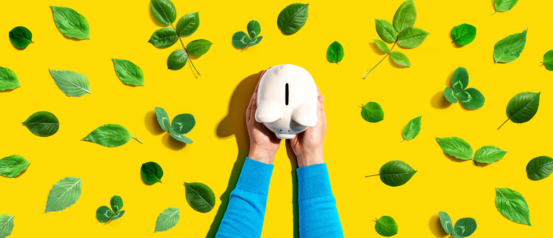 Hands Holding Piggy Bank on Yellow Background with Green Leaves