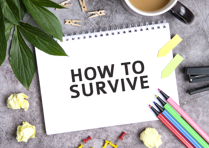 Financial Survival Strategies Notebook with Office Supplies