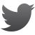 Twitter Icon