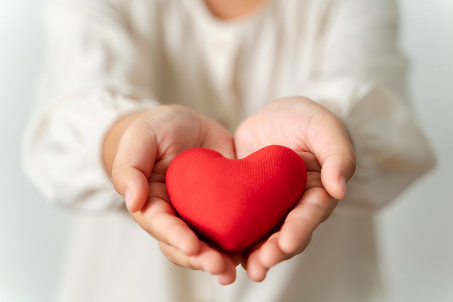 Donation heart in hands