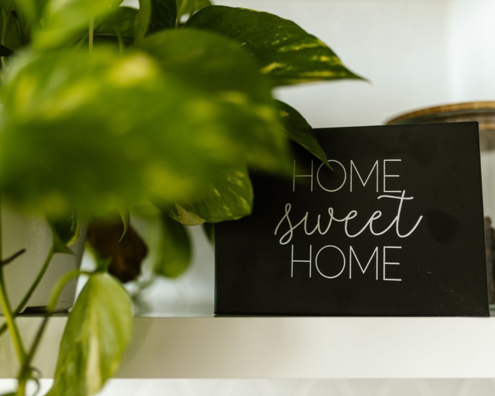 home sweet home sign on shelf with plant home sweet home sign on shelf with plant
