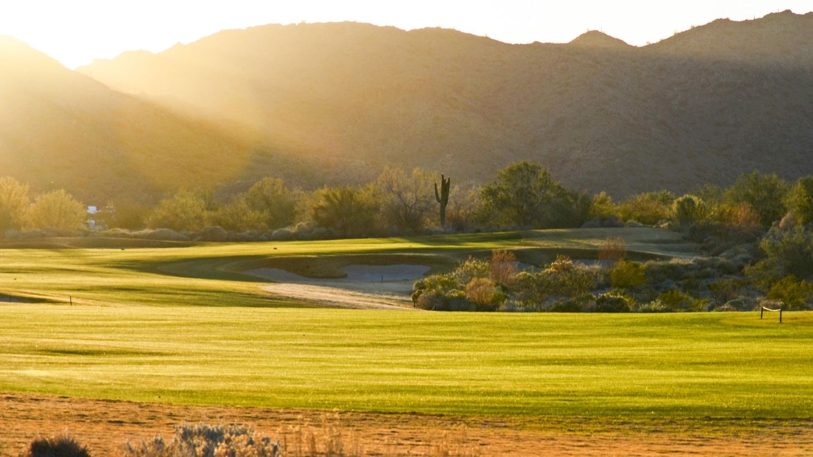 Apache County - Bottom IMG.jpg