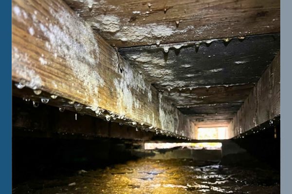 Subfloor and Joist Restoration PB Image 2.jpg