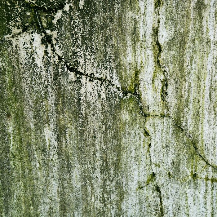 The Importance of French Drain Maintenance for a Healthy Foundation 4.jpg