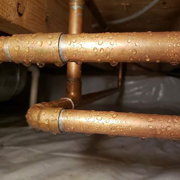 The Critical Role of Dehumidifiers in Crawl Space Health BB Image 1.jpg