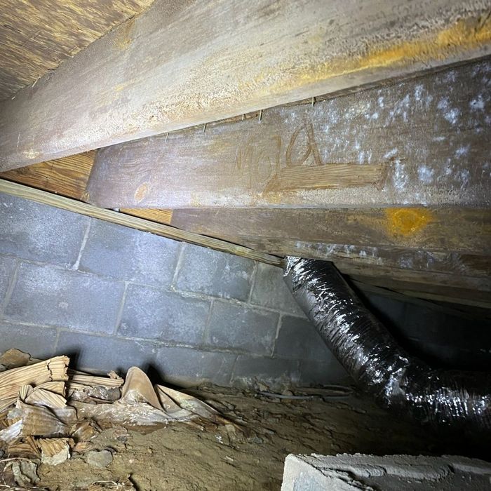 crawl space with moldy floor joists 
