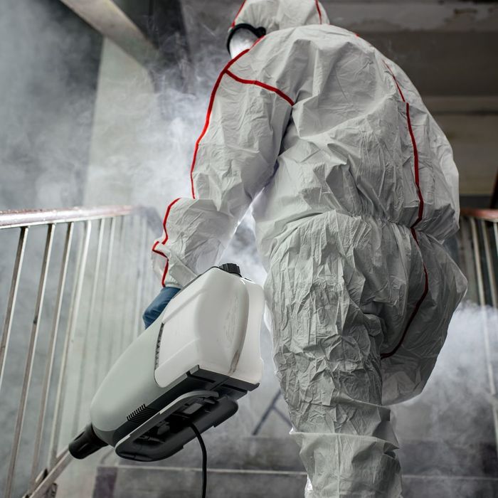 How Mold Remediation Services Can Restore Your Home's Air Quality2.jpg