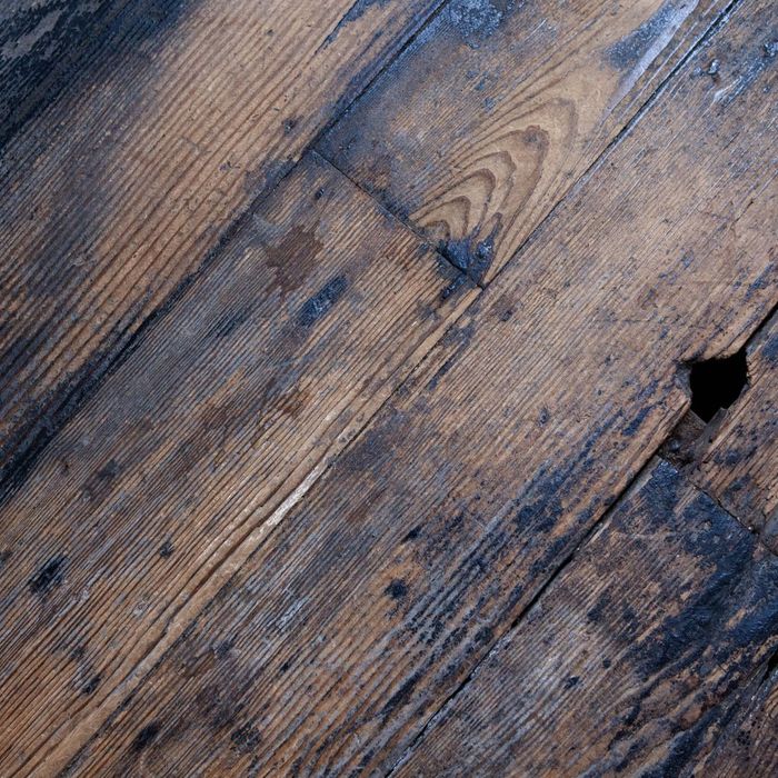 The Importance of Foundation Repair for Long-Term Home Stability1.jpg