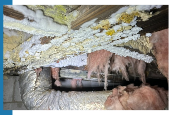 Crawl Space Insulation Services 1 (1).png