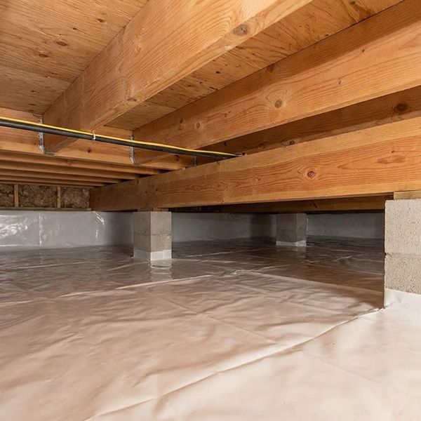 The Critical Role of Dehumidifiers in Crawl Space Health BB Image 4.jpg