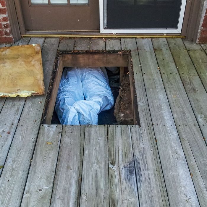 How Long Does Crawl Space Repair or Encapsulation Take_4.jpg