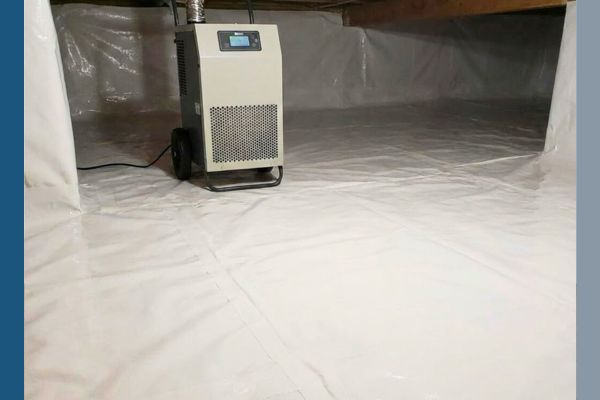 Subfloor and Joist Restoration PB Image 6.jpg