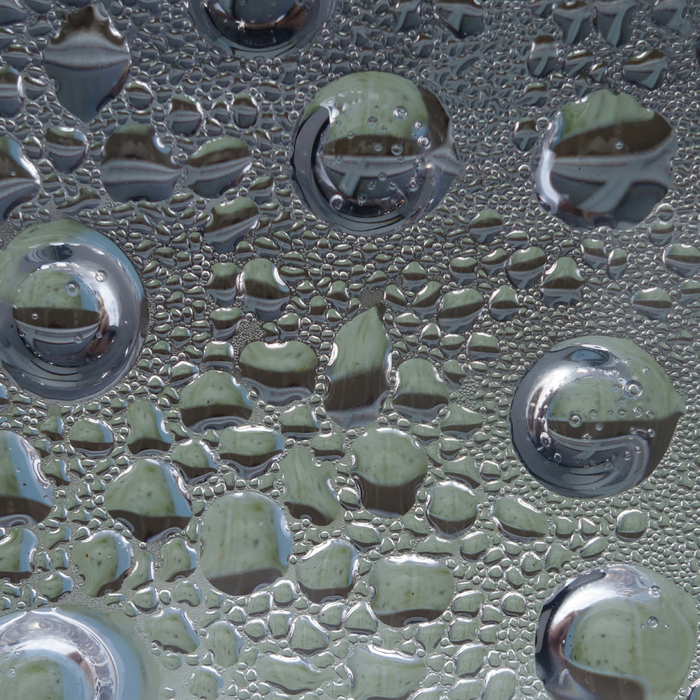 What to Expect During the Moisture Control Process3.png