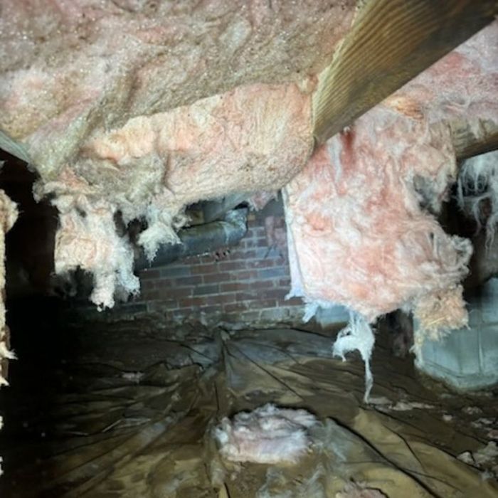 Fallen and sagging fiberglass insulation in a crawl space