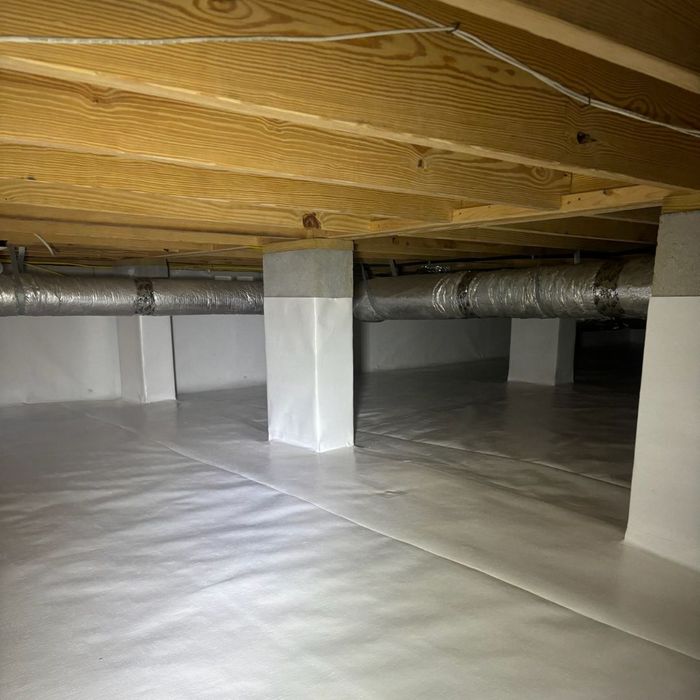 Process of Mold Removal (4).jpg