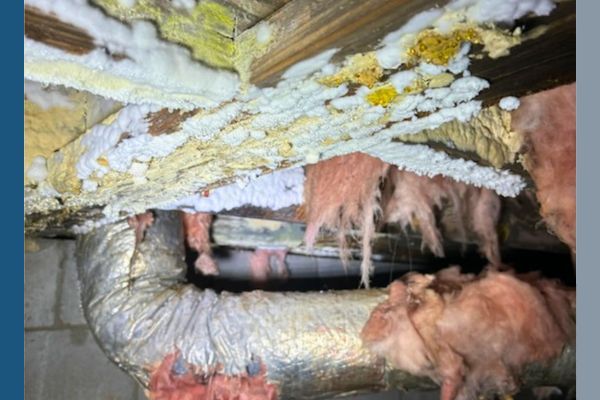 Severe mold in a crawl space